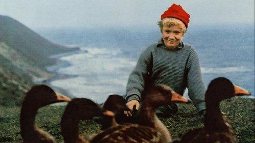 Wonderful Adventures of Nils filmas žiurėti online