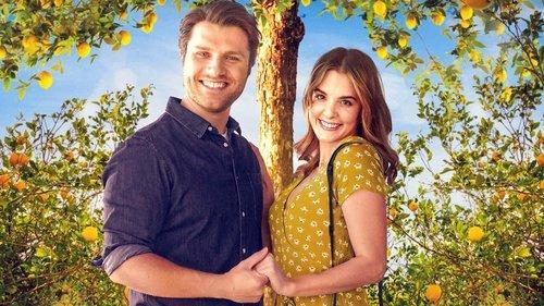 Love Under the Lemon Tree filmas žiurėti online