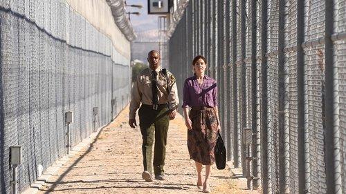 Šventoji Džudė filmas žiurėti online