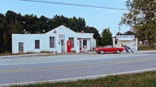 Stingray filmas žiurėti online