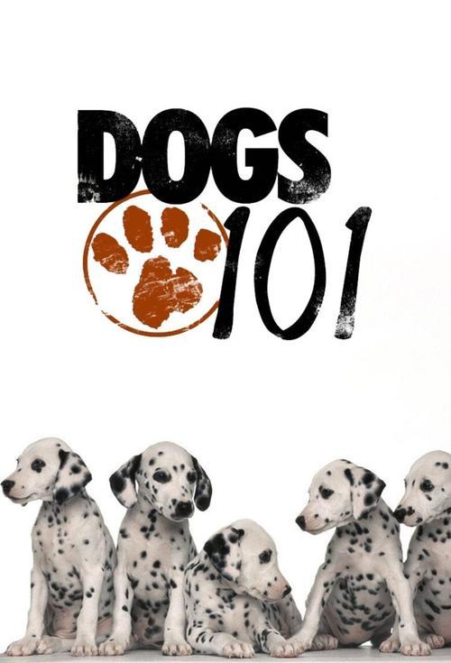 Dogs 101 filmas online