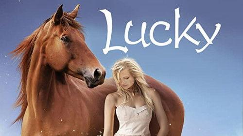 Texas Rein filmas žiurėti online