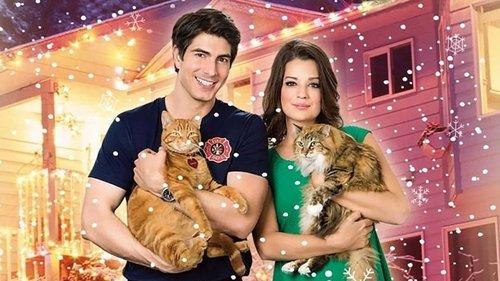 The Nine Lives of Christmas filmas žiurėti online