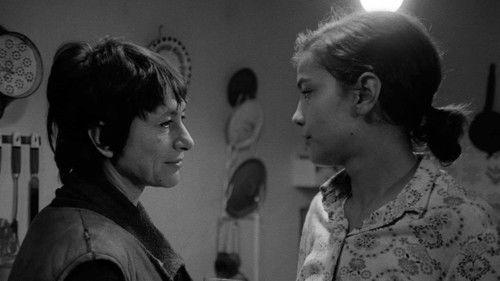 Adoption filmas žiurėti online