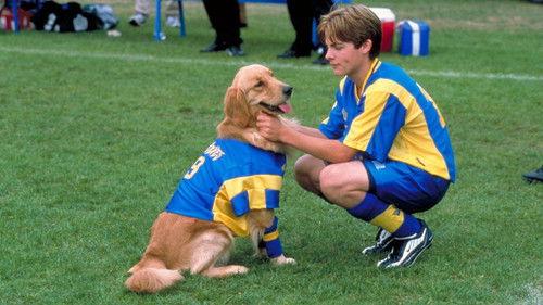 Air Bud: World Pup filmas žiurėti online