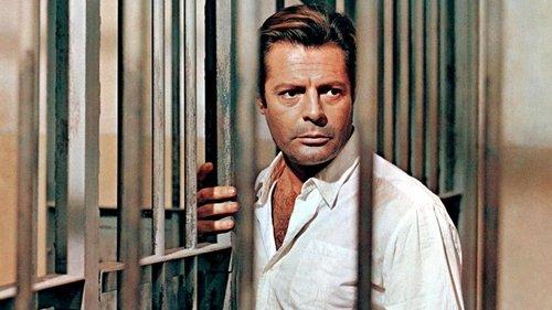 Lo straniero filmas žiurėti online