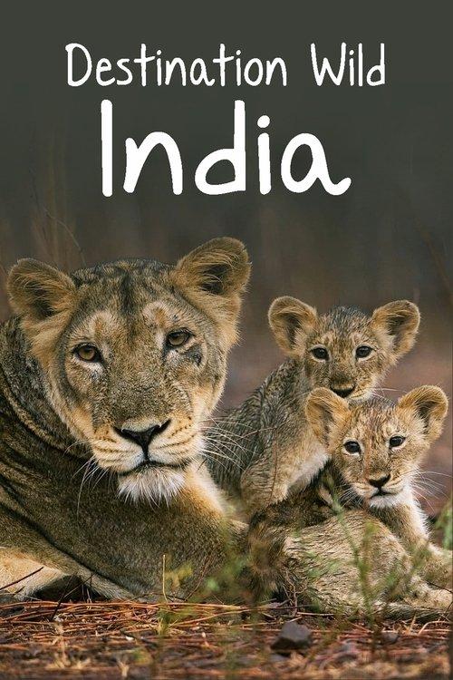 Destination Wild: India filmas online