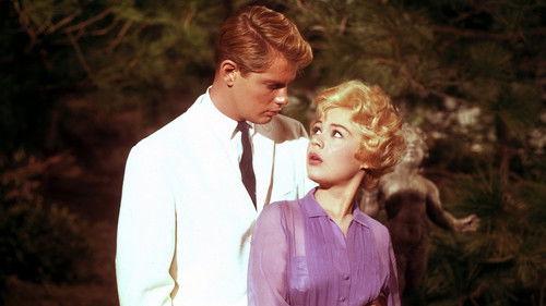 A Summer Place filmas žiurėti online