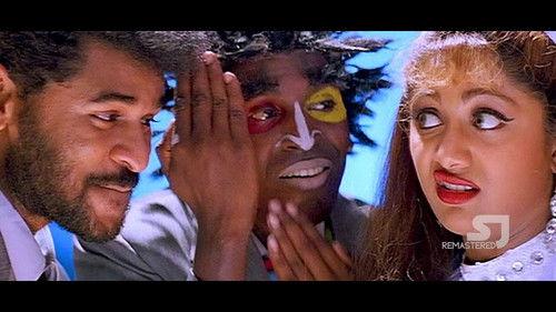 Mr. Romeo filmas žiurėti online