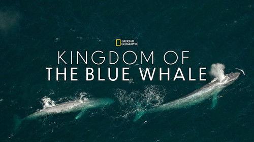 Kingdom of the Blue Whale filmas žiurėti online
