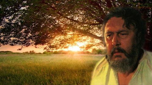 Žiniuonis filmas žiurėti online