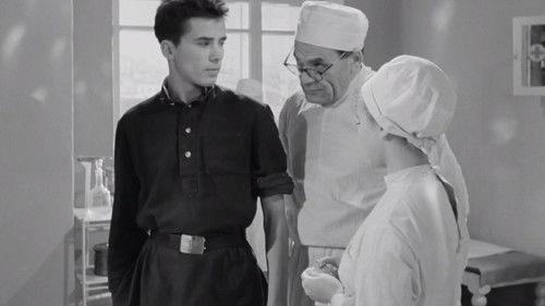 Прощайте, голуби! filmas žiurėti online