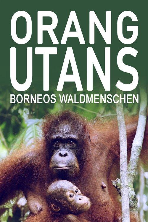 Orang-Utans - Borneos Waldmenschen filmas online