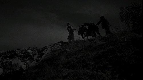 Los olvidados filmas žiurėti online