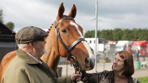 Dark Horse filmas žiurėti online