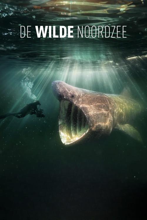 De wilde Noordzee filmas online