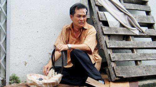 The Best Bet filmas žiurėti online