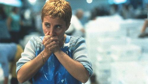 The Town Is Quiet filmas žiurėti online