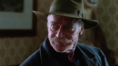 The Grey Fox filmas žiurėti online