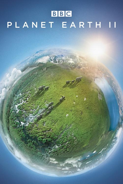 Planeta Žemė 2 filmas online