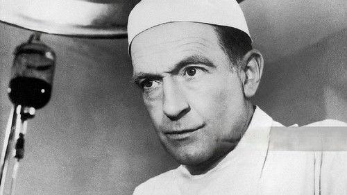 Perfectionist filmas žiurėti online