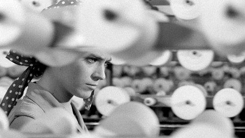 Eltávozott nap filmas žiurėti online