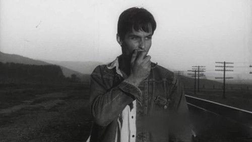 Rat Fink filmas žiurėti online