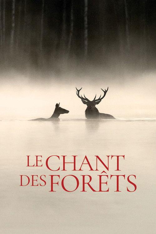 Le Chant des forêts filmas online
