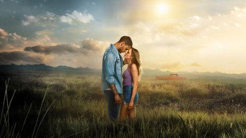 Reminders of Him filmas žiurėti online