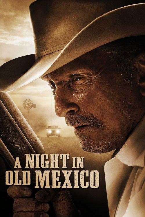 A Night in Old Mexico filmas online