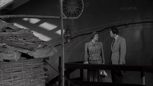 The Disappearance of a Young Wife filmas žiurėti online