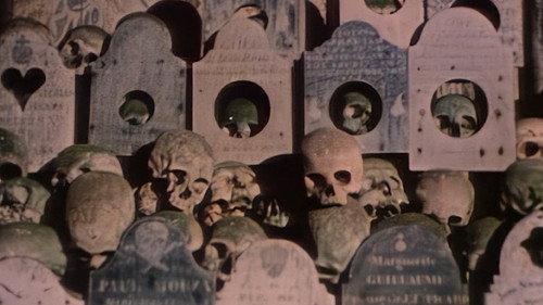 Faces of Death II filmas žiurėti online