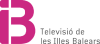 IB3 studio logo