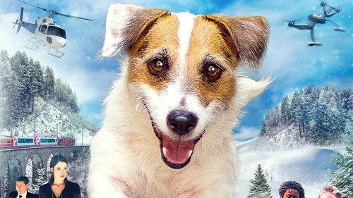 A Doggone Christmas filmas žiurėti online