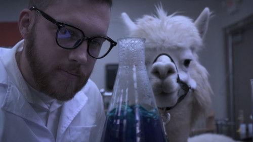 Alpacalypse filmas žiurėti online
