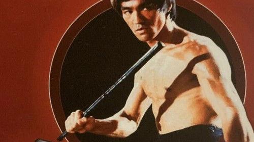The Real Bruce Lee filmas žiurėti online