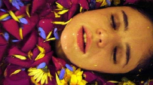 Violet of a Thousand Colors filmas žiurėti online