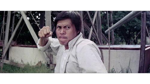 The Big Boss Part II filmas žiurėti online