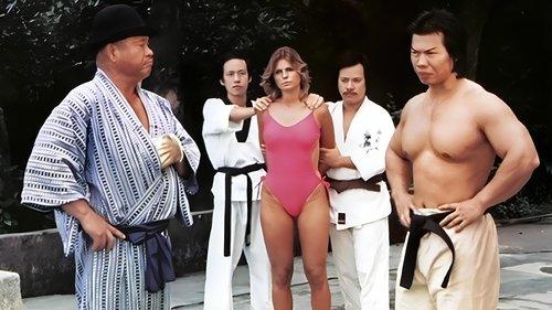 Bruce Strikes Back filmas žiurėti online