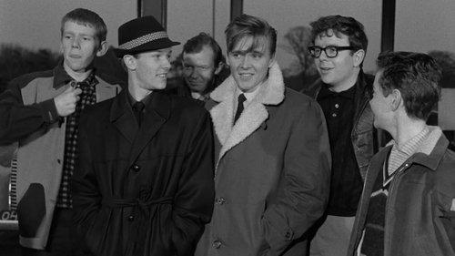 Play It Cool filmas žiurėti online