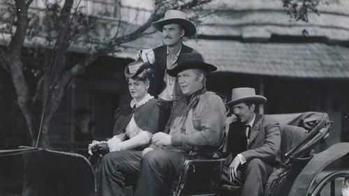 The Younger Brothers filmas žiurėti online