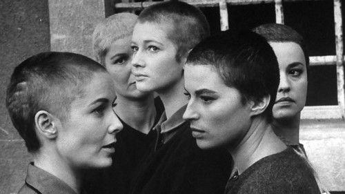 Five Branded Women filmas žiurėti online