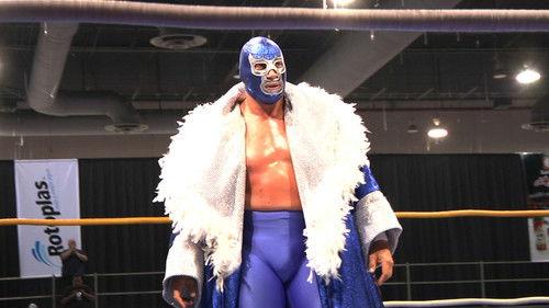 Lucha Mexico filmas žiurėti online