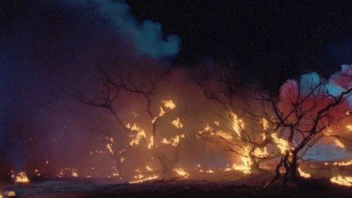 Painted Skin filmas žiurėti online