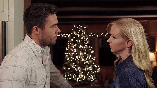 A Holiday Boyfriend filmas žiurėti online