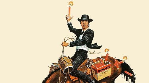 Support Your Local Gunfighter filmas žiurėti online