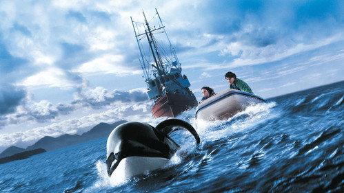 Free Willy 3: The Rescue filmas žiurėti online