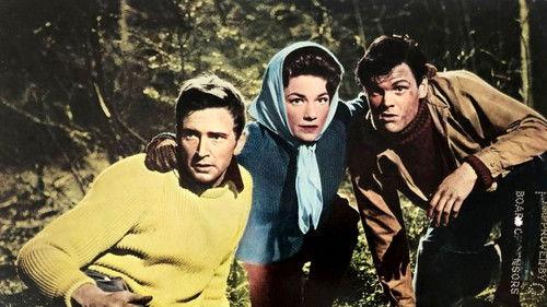 Mix Me a Person filmas žiurėti online