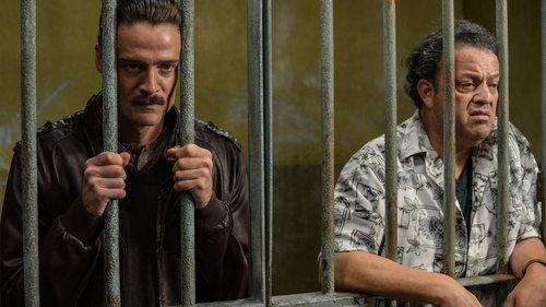 Ruta Madre filmas žiurėti online