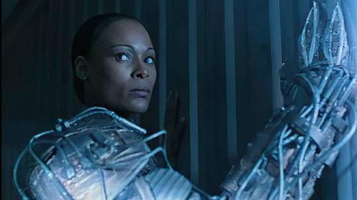 Past Perfect filmas žiurėti online